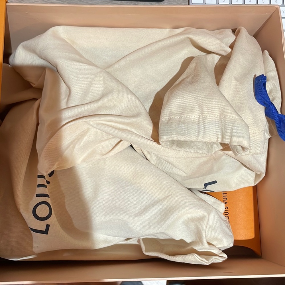 Louis Vuitton sneakers